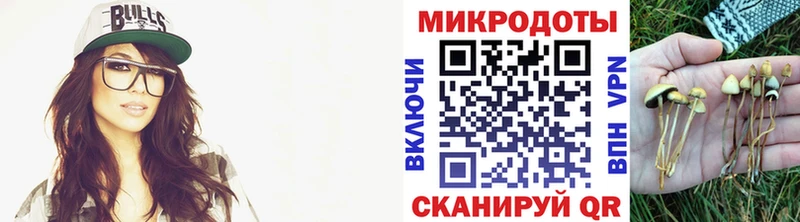 Галлюциногенные грибы GOLDEN TEACHER  хочу наркоту  Снежногорск 